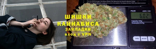 бошки Дмитров