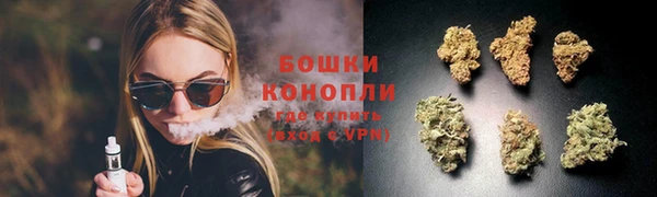 бошки Дмитров