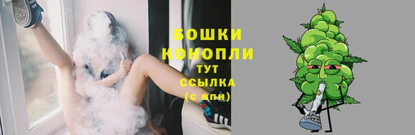Альфа ПВП Дмитровск