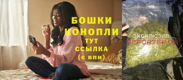 бошки Дмитров