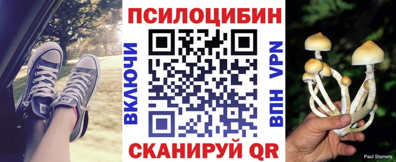 закладки  Красновишерск  Галлюциногенные грибы Cubensis 